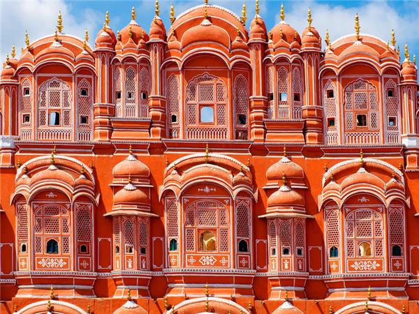 Northern India culture and wildlife vacation
