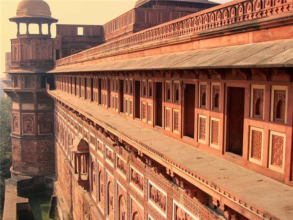 Northern India culture and wildlife vacation