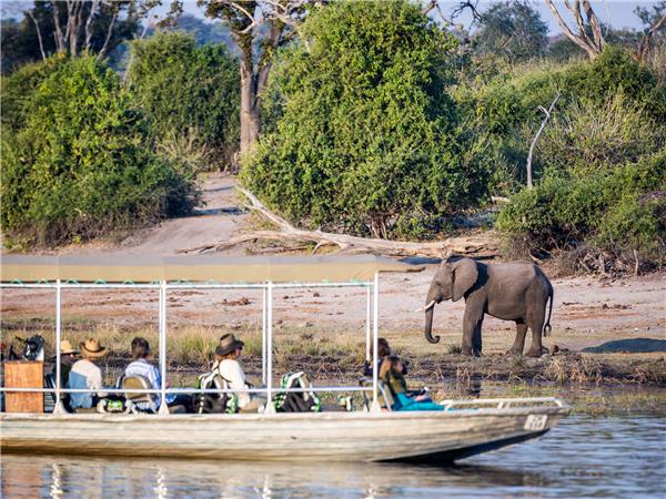 Botswana family Safari with teenagers vacation