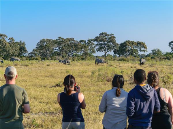 Botswana family Safari with teenagers vacation