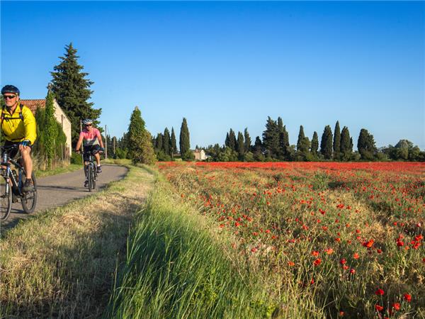 Cycling vacation in Provence