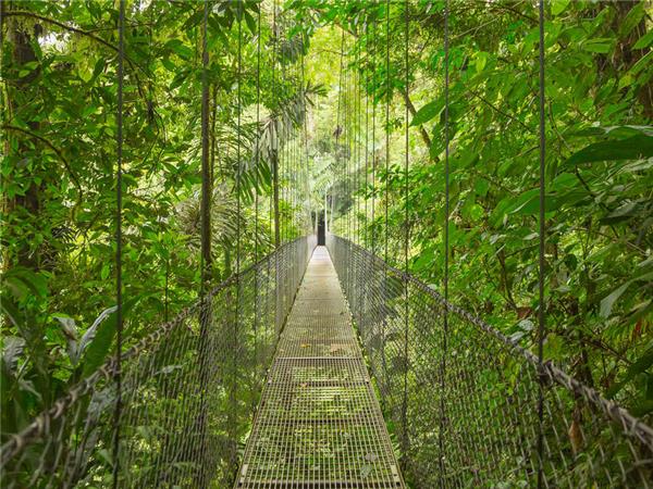 Highlights of Costa Rica tour