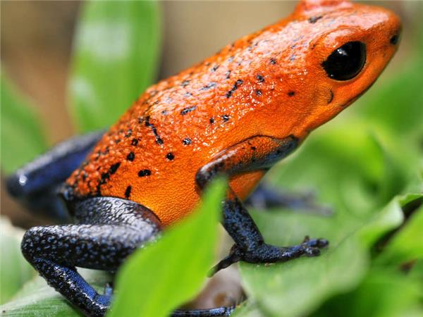 Highlights of Costa Rica tour
