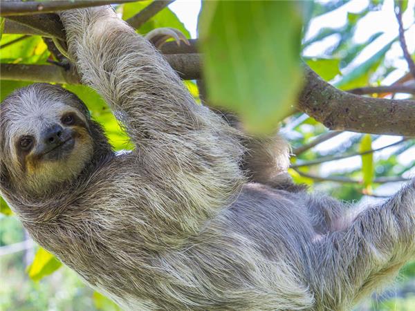 Highlights of Costa Rica tour
