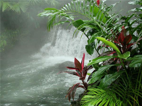 Highlights of Costa Rica tour