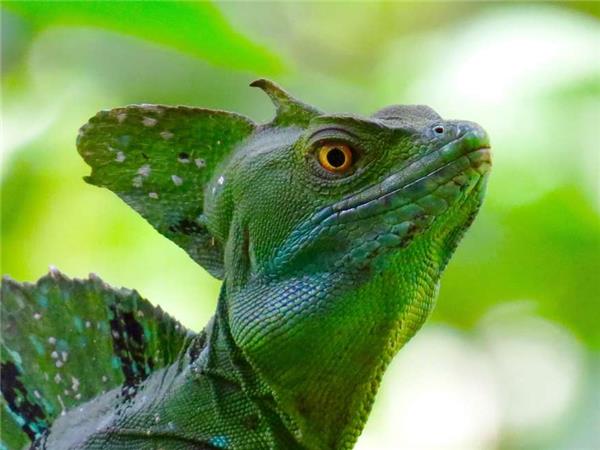 Highlights of Costa Rica tour