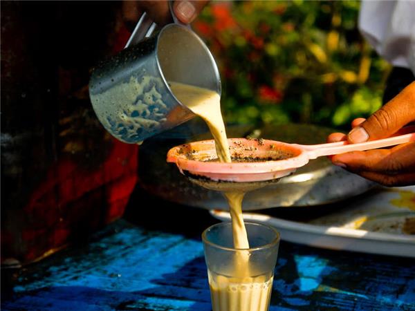 Central India small group tour