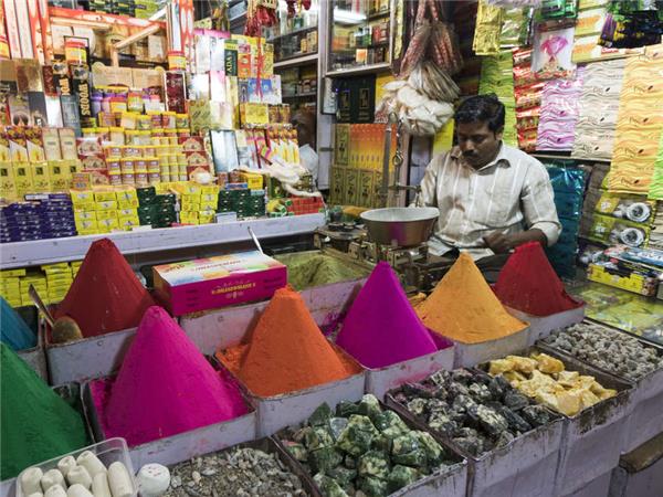 Central India small group tour