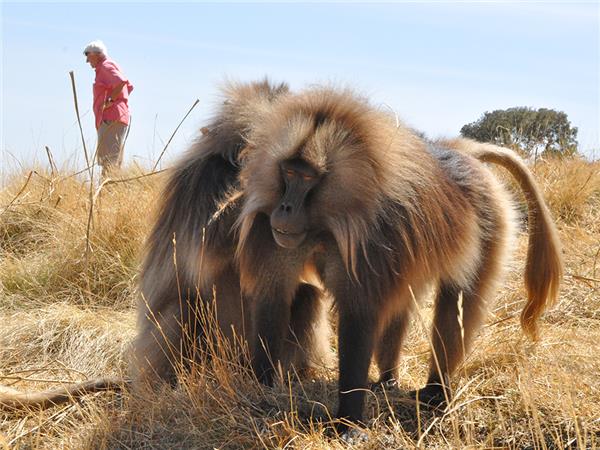 Ethiopia tours