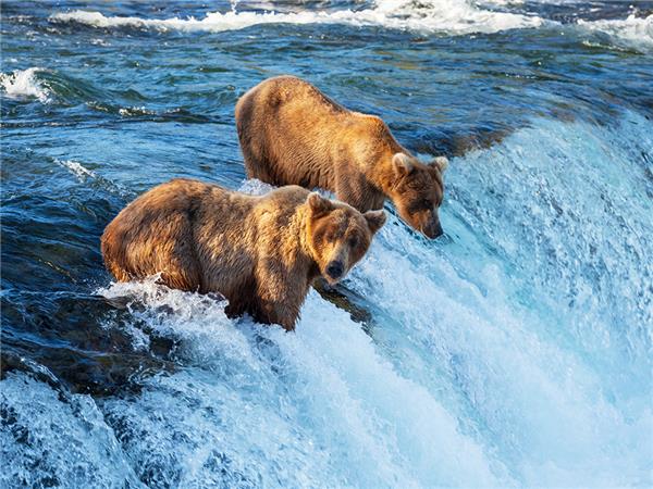 Alaska adventure vacation