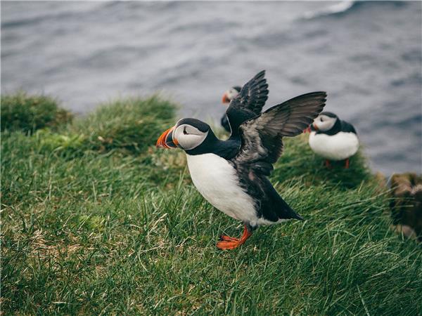 Camping in Iceland vacation for 18-29s