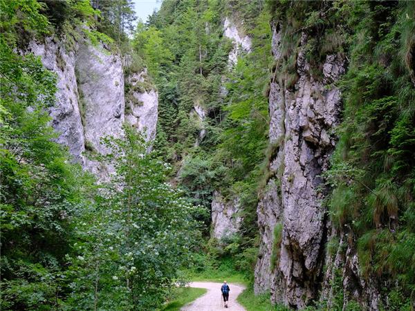 Trekking the Transylvanian Alps vacation