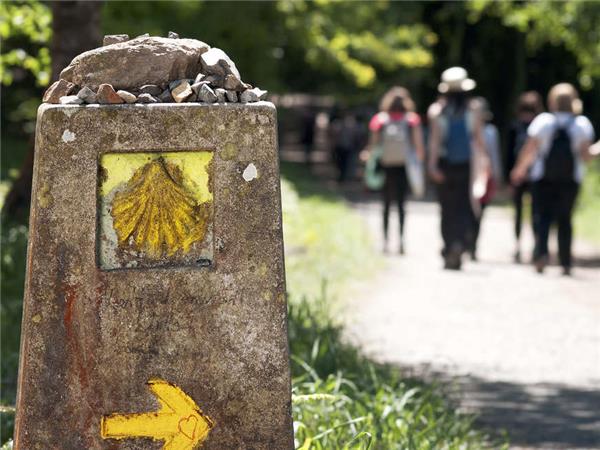 Camino de Santiago small group vacation
