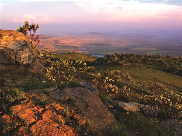 South Africa and Swaziland safari vacation