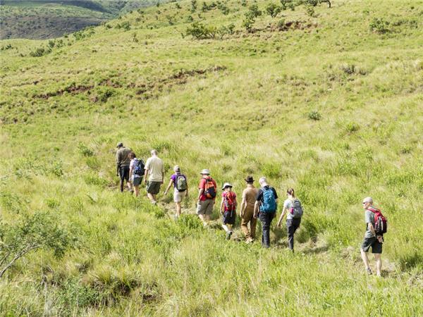 South Africa and Swaziland safari vacation