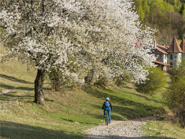 Cycling vacation in Romania, small group
