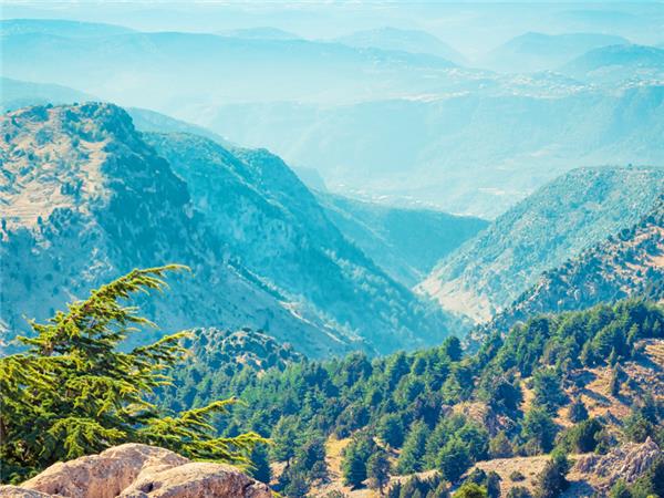 Highlights of Lebanon vacation