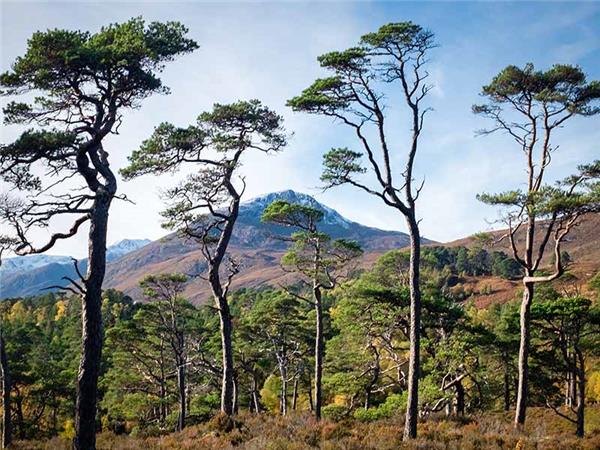 Autumn walking vacation in the Scottish Highlands