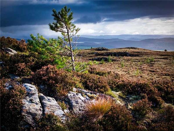 Autumn walking vacation in the Scottish Highlands