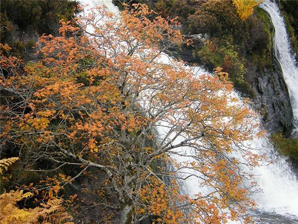 Autumn walking vacation in the Scottish Highlands