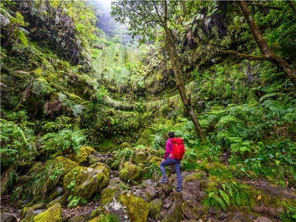 Walking vacation in Madeira