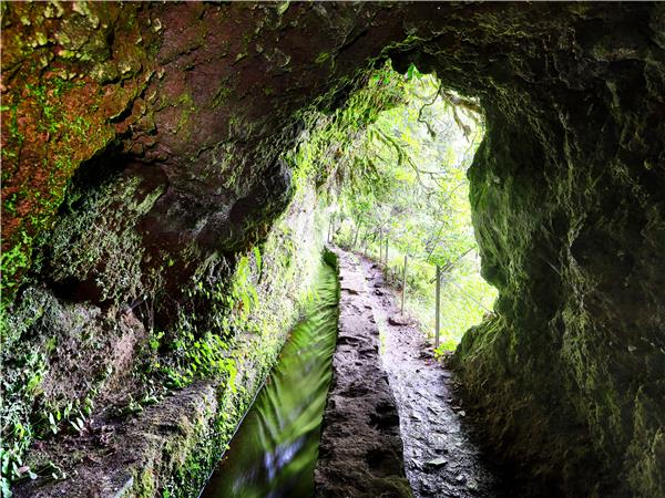 Walking vacation in Madeira