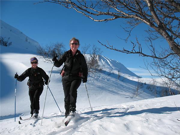 Cross country skiing in Norway