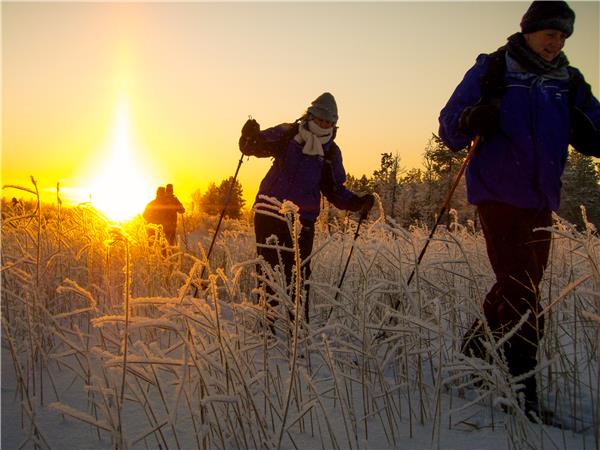 Finland winter activity vacation & Northern Lights