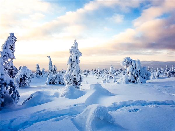 Finland winter activity vacation & Northern Lights