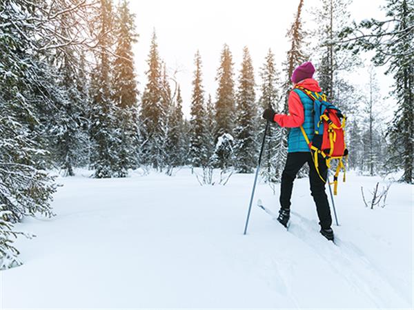 Finland winter activity vacation & Northern Lights
