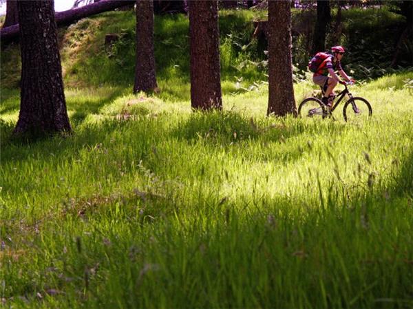 Mountain biking vacation in Scotland