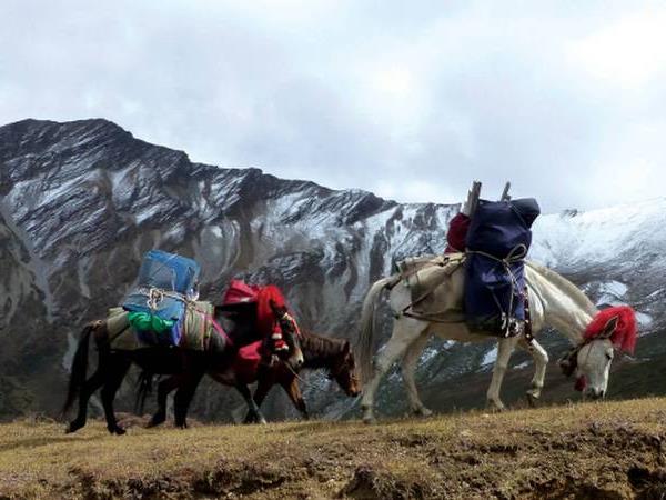 Snowman trek in Bhutan