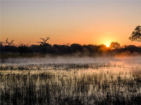 Botswana & Zambia family safari