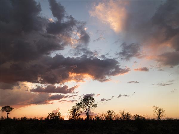 Botswana & Zambia family safari