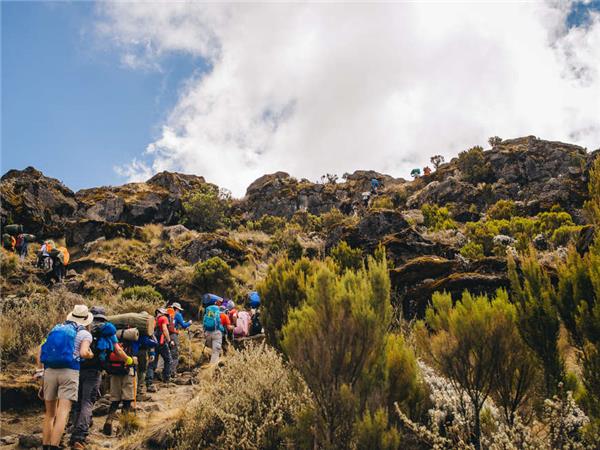 Lemosho trek up Kilimanjaro