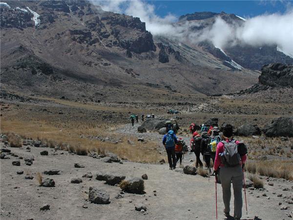 Lemosho trek up Kilimanjaro