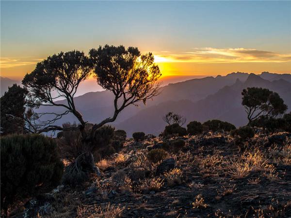 Lemosho trek up Kilimanjaro