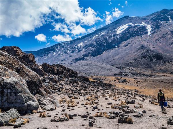 Lemosho trek up Kilimanjaro