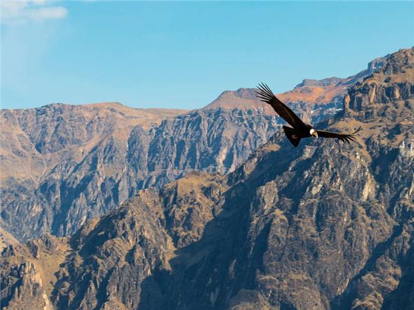 Peru small group highlights tour