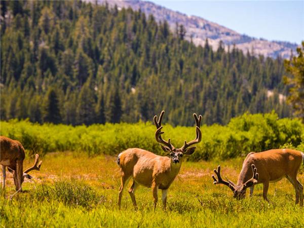 Western USA National Parks holiday