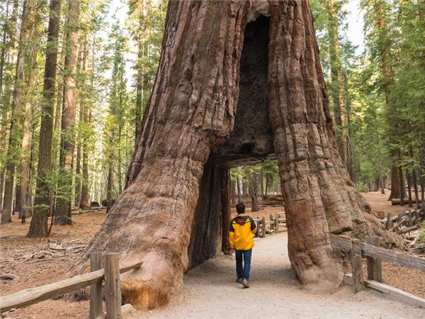 Western USA National Parks holiday