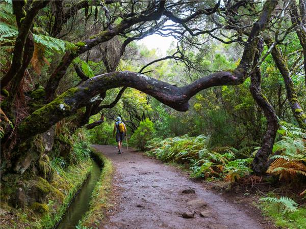 Madeira walking vacation