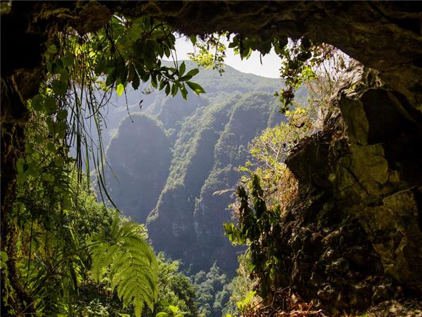 Madeira walking vacation