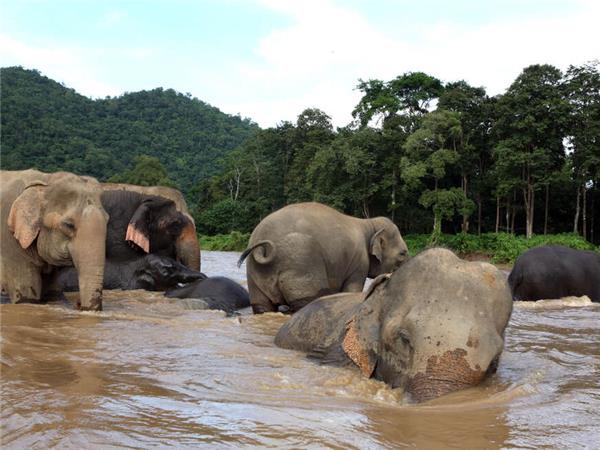 Northern Thailand vacation with added comfort