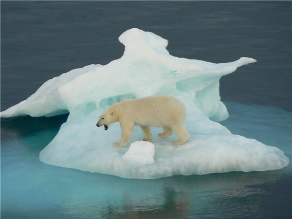 Canada and Greenland western Arctic cruise