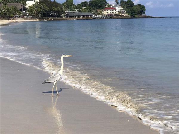 Seychelles island hopping vacation