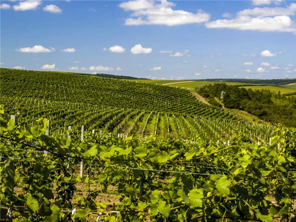 Moldova vacation