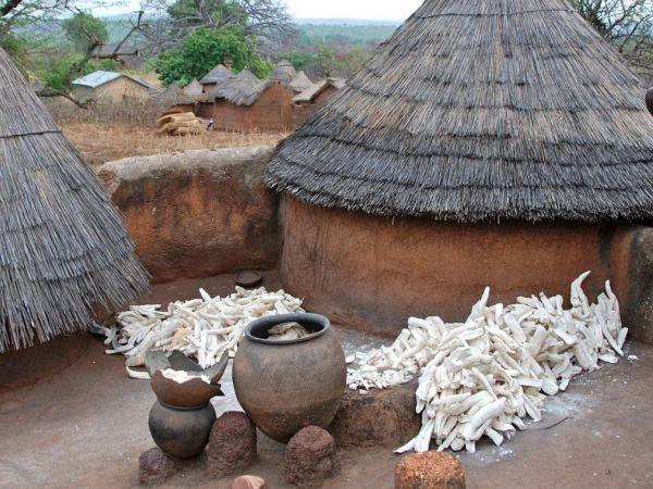 Togo and Benin vacation