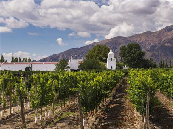 Wine and Landscapes of Argentina vacation