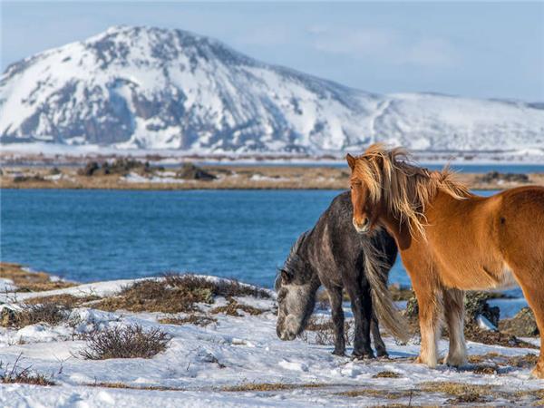 Iceland winter adventure vacation